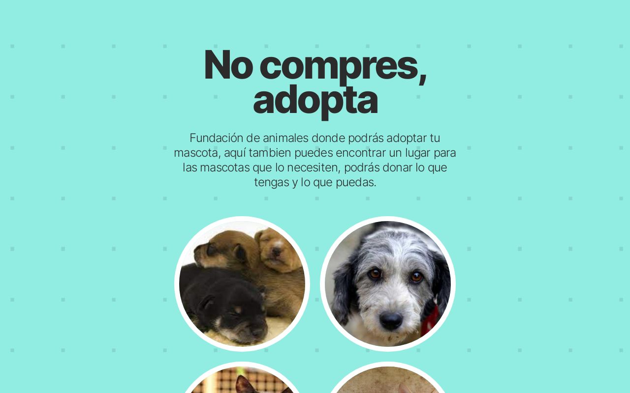 Carrd profile picture for @fundacion